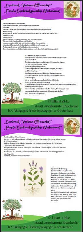 Beispiel Steckbriefe 2